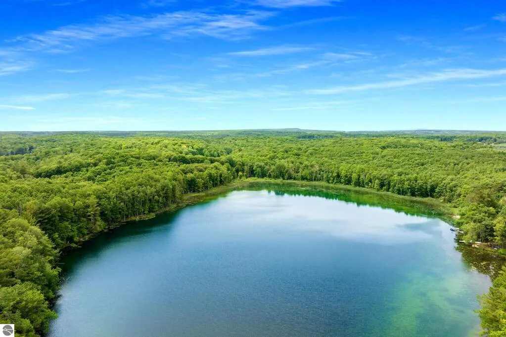 Aerial view of spring-fed Brooks Lake framed by mature forest on the 80-acre parcel