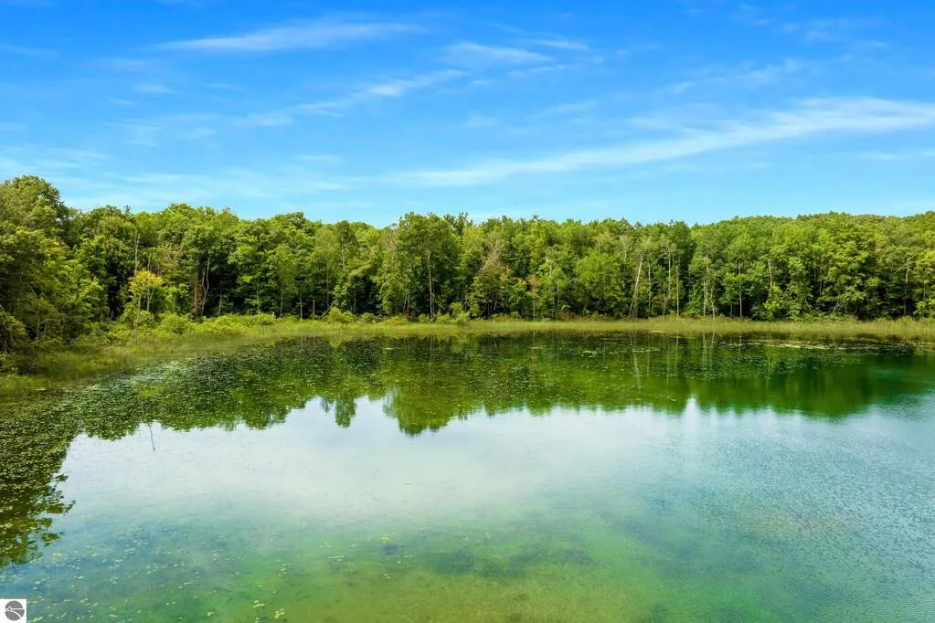 Natural, timbered shoreline along Brooks Lake
