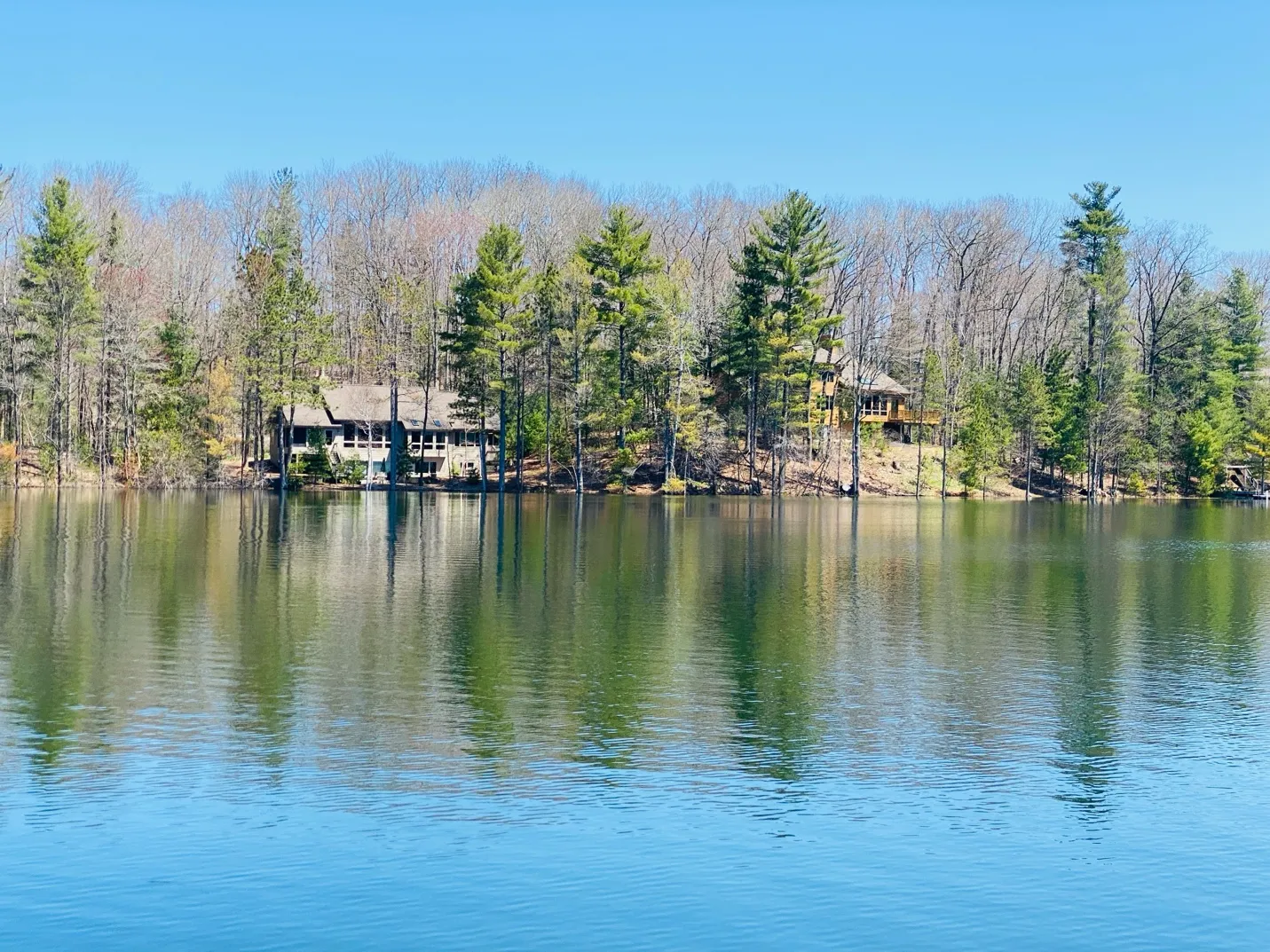 Shoreline homes on Pearl Lake