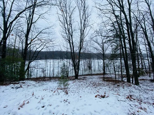 Snow-covered woods along the frozen shoreline of Pearl Lake